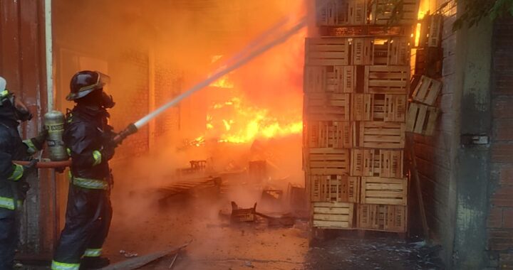 TRES GALPONES DAÑADOS EN EL MERCADO DE ABASTO POR UN SÚBITO Y VORAZ INCENDIO EN LA TARDE DE ESTE DOMINGO