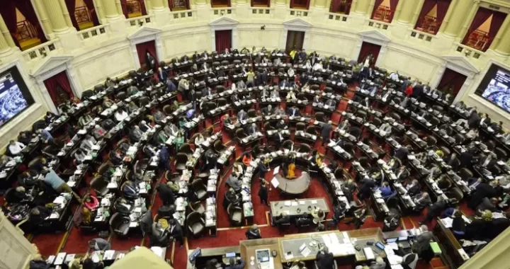 COMIENZA EL DEBATE DE LA LEY BASES EN DIPUTADOS