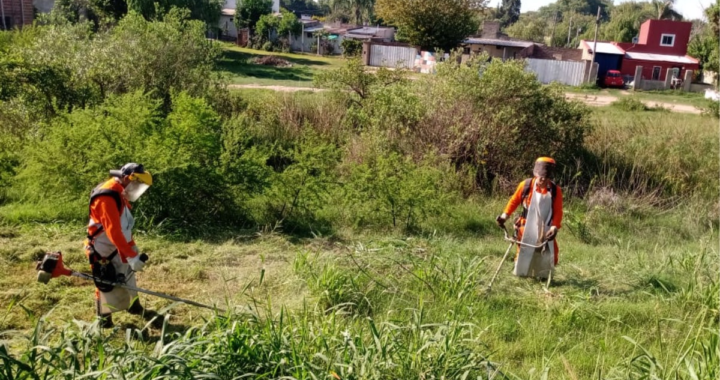 RUTA 1: VIALIDAD PROVINCIAL REALIZA EL DESMALEZADO EN EL TRAMO DE RINCÓN