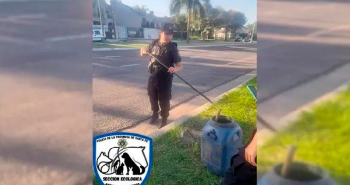 HALLARON OTRA YARARÁ EN PLENA COSTANERA SANTAFESINA