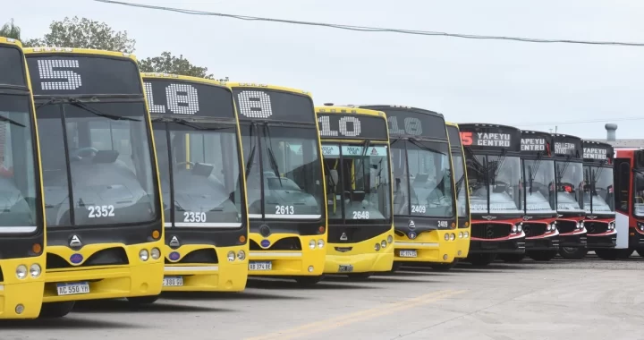 AUMENTO DEL BOLETO DE COLECTIVOS EN JUNIO: POLETTI SOSTUVO QUE RONDARÁ LOS $900