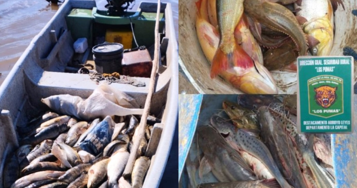 INTENSIFICAN OPERATIVOS CONTRA LA PESCA ILEGAL EN LA COSTA SANTAFESINA