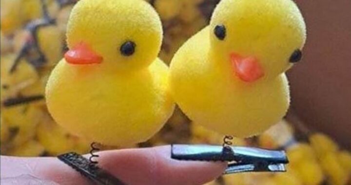 PATITOS KAWAII, UNA EXTRAÑA MODA QUE YA ESTÁ EN SANTA FE