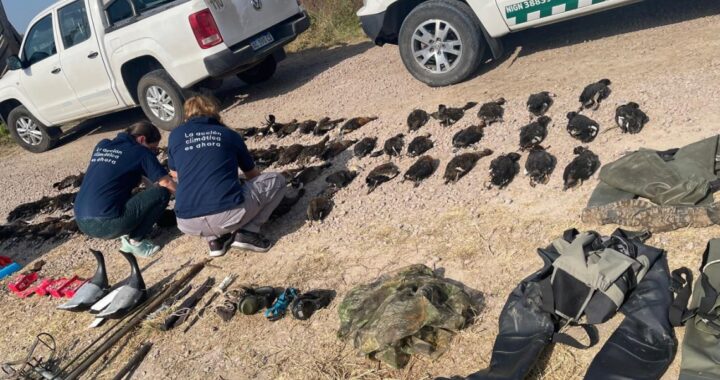 TURISTAS EXTRANJEROS DEMORADOS POR CAZAR ILEGALMENTE EN EL NORTE DE LA PROVINCIA DE SANTA FE