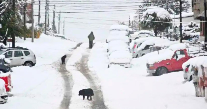 LA PATAGONIA TAPADA DE NIEVE: RUTAS BLOQUEADAS, PERSONAS VARADAS Y UN HOMBRE MURIÓ POR HIPOTERMIA