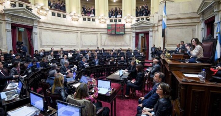 EL SENADO DEBATIRÁ POR SEPARADO LA LEY BASES Y EL PAQUETE FISCAL