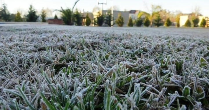 POSIBLES HELADAS Y AUMENTO DE TEMPERATURAS : ASÍ ESTARÁ EL TIEMPO ESTA SEMANA EN LA COSTA SANTAFESINA