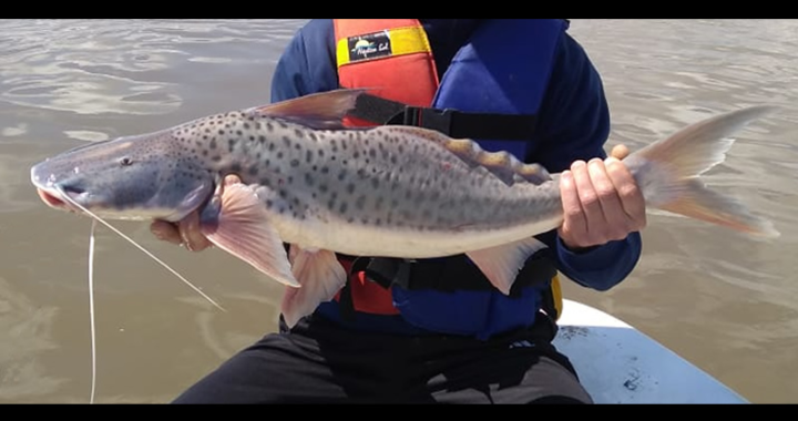 GRAN ENCUENTRO DE PESCA EN SANTA FE PROMETE SER UN ÉXITO