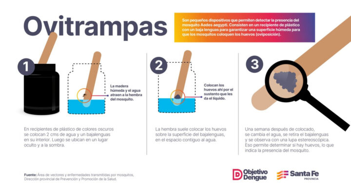 OBJETIVO DENGUE: PROVINCIA COLOCA TRAMPAS PARA DETECTAR HUEVOS DE MOSQUITO Y ESTABLECER ALERTAS TEMPRANAS