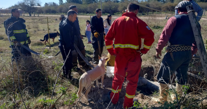 BOMBEROS RESCATARON UN CABALLO QUE CAYÓ EN UN POZO CIEGO EN ARROYO LEYES