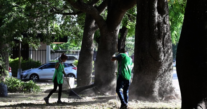 TAREAS DE LIMPIEZA Y DESMALEZADO DE ESPACIOS VERDES PARA ALTO VERDE, LA GUARDIA Y COLASTINÉ NORTE