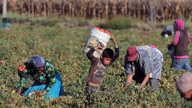 CRECE EL EMPLEO INFORMAL: 568.000 MÁS DE TRABAJADORES NO REGISTRADOS EN LOS ÚLTIMOS CUATRO AÑOS