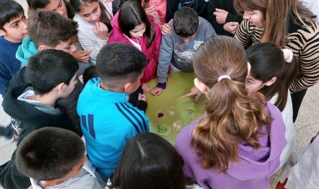 ACTIVIDADES POR EL MES DE LA ALIMENTACIÓN EN UNL