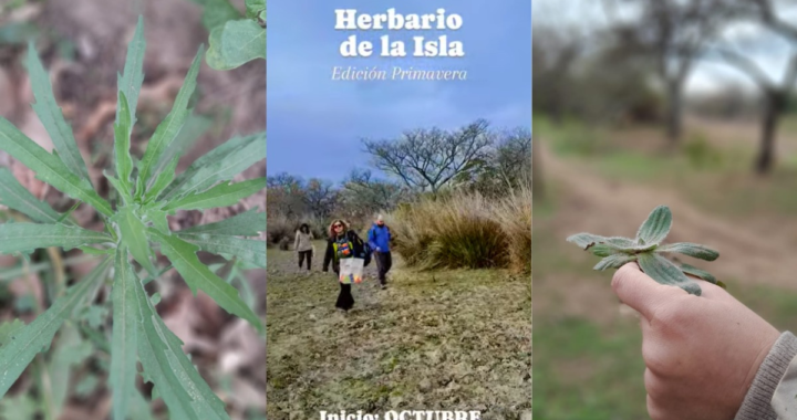 HERBARIO DE LA ISLA: APRENDIZAJE EN CONVIVENCIA CON LA NATURALEZA EN SAN JOSÉ DEL RINCÓN