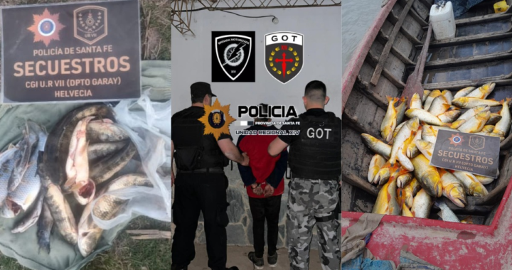 DECOMISAN MÁS DE 250 ESPECIES Y DOS CARPINCHOS EN VARIOS OPERATIVOS REALIZADOS EN EL DEPARTAMENTO GARAY