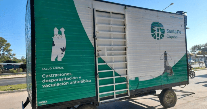 CASTRACIÓN GRATUITA DE MASCOTAS EN COLASTINÉ NORTE