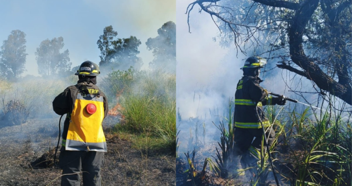 BOMBEROS DE RINCÓN CONTROLAN INCENDIO DE PASTIZAL EN ARROYO LEYES