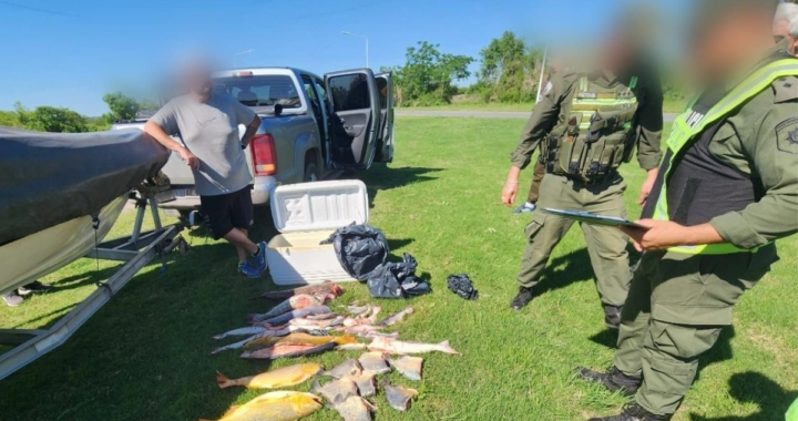 DECOMISAN 400 PIEZAS DE PESCA ILEGAL EN OPERATIVO EN ARROYO LEYES Y LAS CAÑAS