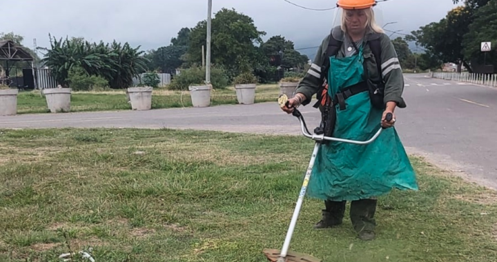 TAREAS DE DESMALEZAMIENTO Y LIMPIEZA EN LOS BARRIOS DEL DISTRITO DE LA COSTA: CRONOGRAMA DE LA SEMANA