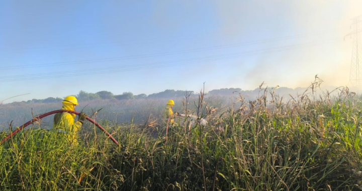 INCENDIO DE PASTIZALES EN LA RUTA 168, CERCA DE CHANGO MÁS, EXIGIÓ AMPLIO DESPLIEGUE DE BOMBEROS