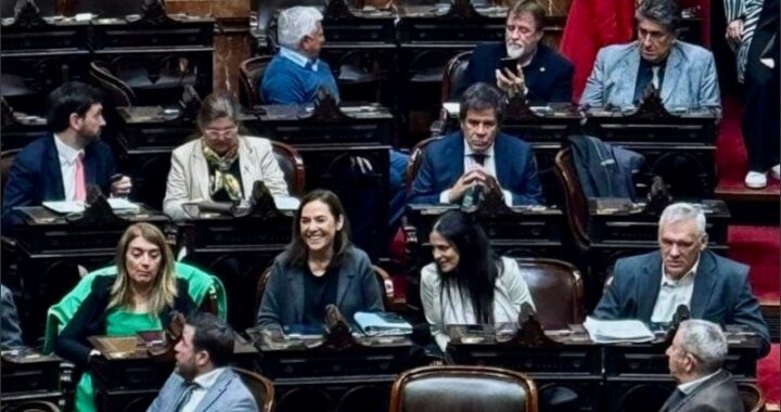 FRACTURA DEL BLOQUE RADICAL: QUIÉNES SON LOS 12 DIPUTADOS DE LA UCR CON NUEVA BANCADA PROPIA