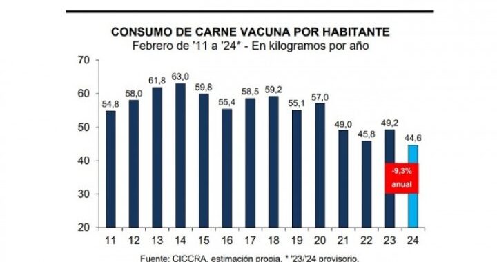 SE DERRUMBÓ EL CONSUMO DE CARNE VACUNA: ES EL PEOR ÍNDICE EN LOS ÚLTIMOS 30 AÑOS