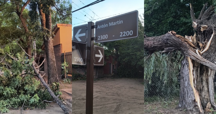 LA TORMENTA CAUSÓ CAÍDA DE ÁRBOLES Y PROBLEMAS DE TRÁNSITO EN EL CASCO CÉNTRICO DE SAN JOSÉ DEL RINCÓN