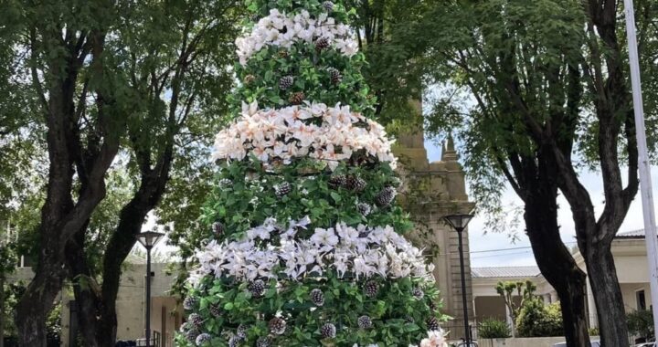 ENCENDIDO DEL ÁRBOL NAVIDEÑO Y ACTIVIDADES CULTURALES EN HELVECIA