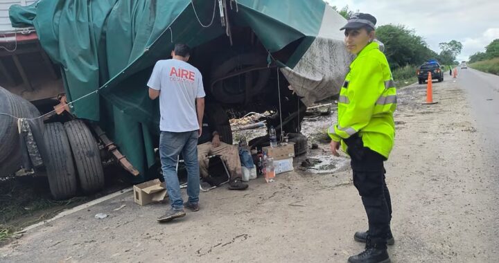 UN CAMIÓN QUE TRANSPORTABA TETRA BRIKS DE VINO VOLCÓ EN LA RUTA 11 Y LA GENTE SE LLEVÓ LA CARGA