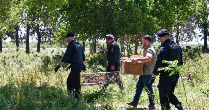 SANTA FE ENDURECE LAS MULTAS CONTRA LA CAZA Y EL COMERCIO ILEGAL DE FAUNA SILVESTRE