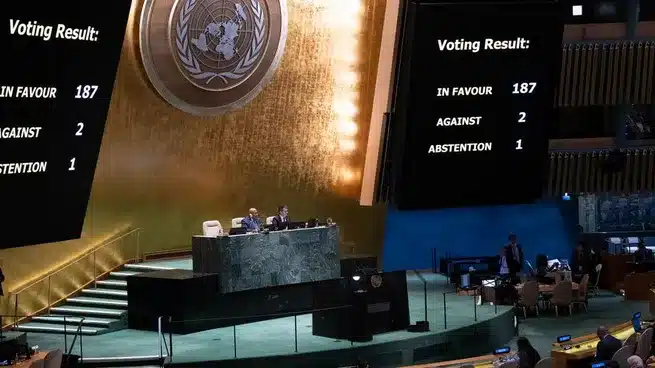 POLÉMICA EN LA ONU: LA ARGENTINA FUE EL ÚNICO PAÍS QUE VOTÓ EN CONTRA DE «ELIMINAR LAS FORMAS DE VIOLENCIA CONTRA LAS MUJERES Y LAS NIÑAS»