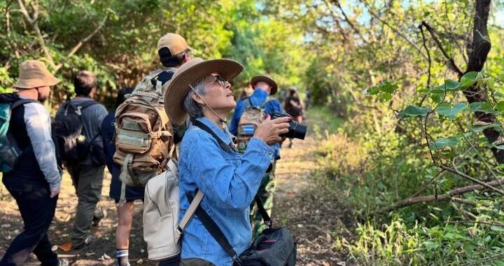 AVISTAJE DE AVES EN CAYASTÁ Y CAMPO DEL MEDIO: MÁS DE 150 ESPECIES IDENTIFICADAS