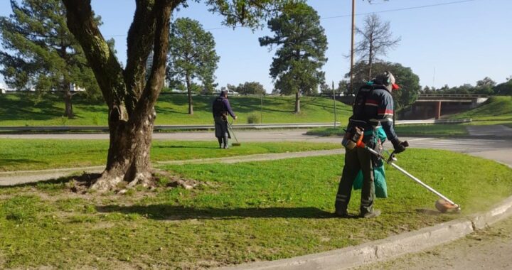 INTENSIFICAN TAREAS DE DESMALEZADO Y LIMPIEZA EN EL DISTRITO DE LA COSTA SANTAFESINA