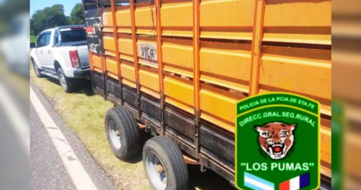 LOS PUMAS SECUESTRARON VACUNOS Y REALIZARON INFRACCIONES DE PESCA EN LOS ZAPALLOS Y ARROYO LEYES