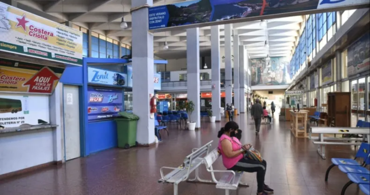 DETUVIERON A DOS SUJETOS QUE LE ROBARON A UNA MUJER EN LA TERMINAL DE ÓMNIBUS