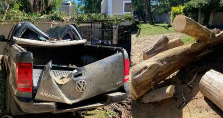 COLASTINÉ NORTE: UN ÁRBOL CAE SOBRE UNA CAMIONETA Y DEJA SIN LUZ A LA ZONA TRAS LA TORMENTA