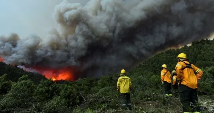 INTENSA LUCHA CONTRA INCENDIOS EN EL PARQUE NAHUEL HUAPI Y EL PARQUE NACIONAL LANÍN