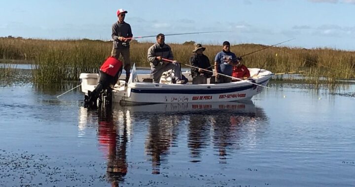 HELVECIA: EXTIENDEN LA VIGENCIA DE LAS LICENCIAS DE PESCA HASTA DICIEMBRE DE 2025