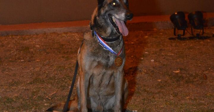 EL ADIÓS A BALOO, EL PERRO RESCATISTA QUE DURANTE DIEZ AÑOS FUE HÉROE DE LOS SANTAFESINOS