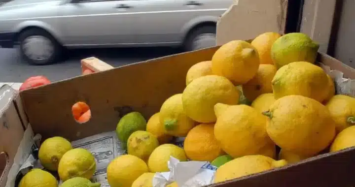 EL LIMÓN SE VENDE HASTA A $8.000 EL KILO EN SANTA FE: POR QUÉ SE DIO LA DRÁSTICA SUBA DE PRECIO