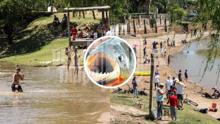 RESTRICCIÓN AL INGRESO AL AGUA EN SAN JOSÉ DEL RINCÓN POR ATAQUES DE PALOMETAS