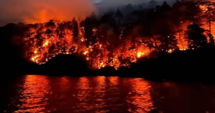 FUEGO EN NAHUEL HUAPI: MÁS DE 18 MIL HECTÁREAS ARRASADAS EN LA PATAGONIA