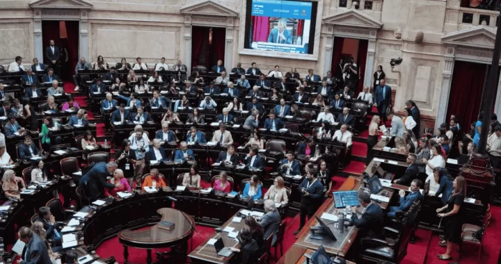 EL OFICIALISMO FESTEJA: LA SUSPENSIÓN DE LAS PASO AVANZA AL SENADO