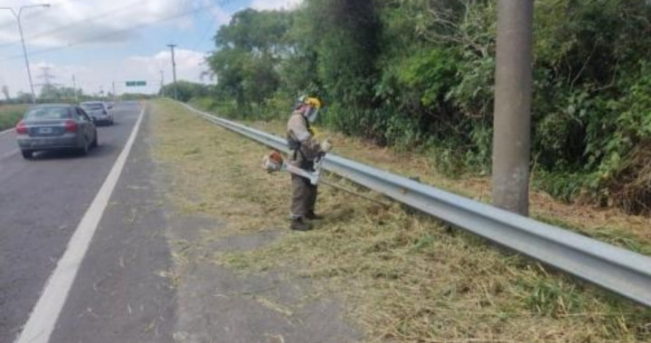 PRECAUCIÓN CONDUCTORES EN RUTA 168: TRABAJOS DE DESMALEZADO, HAY REDUCCIÓN DE CARRIL