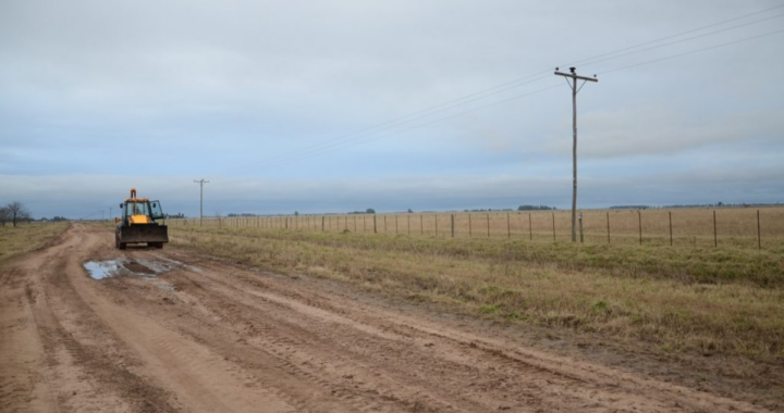 UN FALLO HISTÓRICO EXIGE A MUNICIPIOS JUSTIFICAR EL COBRO DE TASA POR HECTÁREA