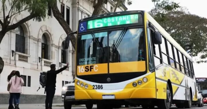 Día no laborable: así funcionarán los servicios municipales este viernes 15 de agosto
